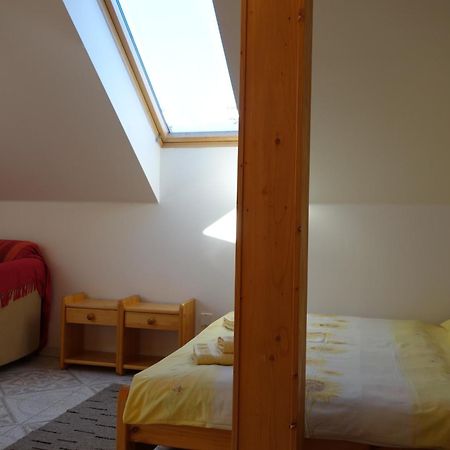Apartmany Arnika Horní Planá エクステリア 写真
