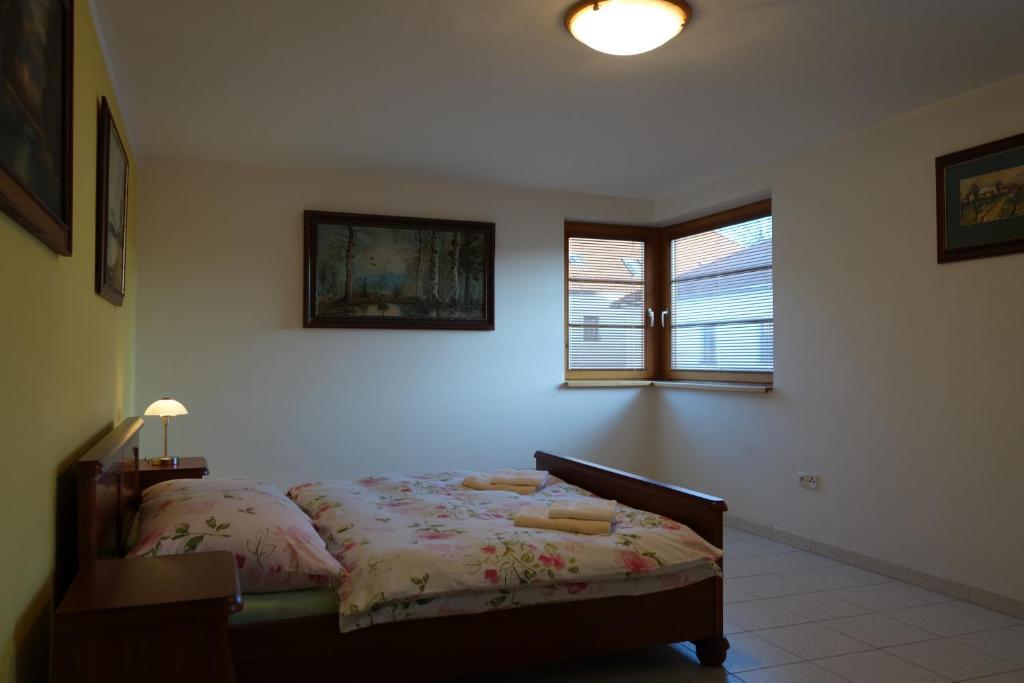 Apartmany Arnika Horní Planá エクステリア 写真